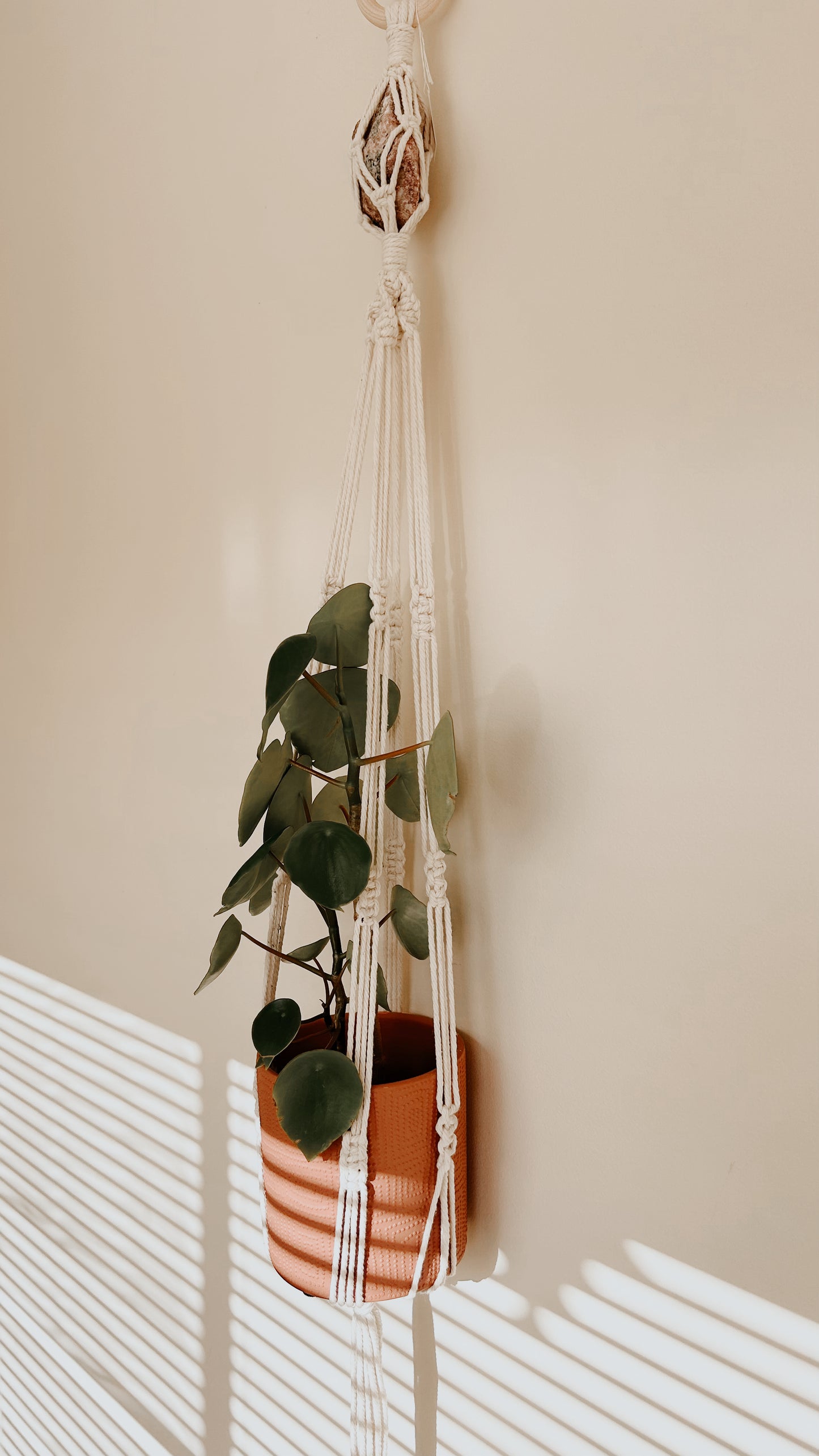 Plant Hanging - Purple Rhodonite