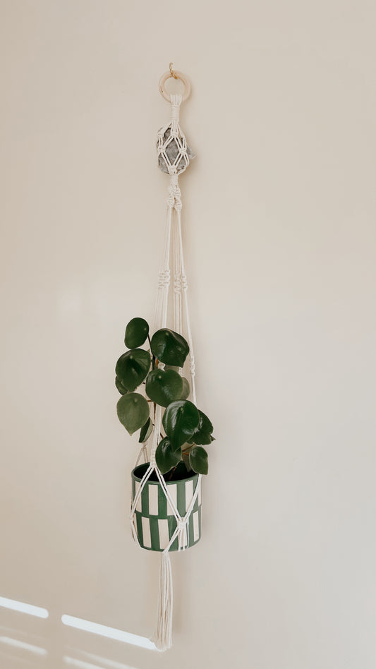 Plant Hanging - Blue Calcite