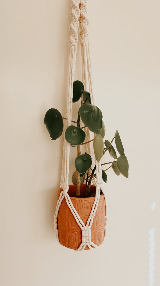 Plant Hanging - No Tassel