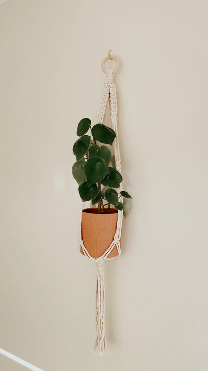 Plant Hanging - Minimalist