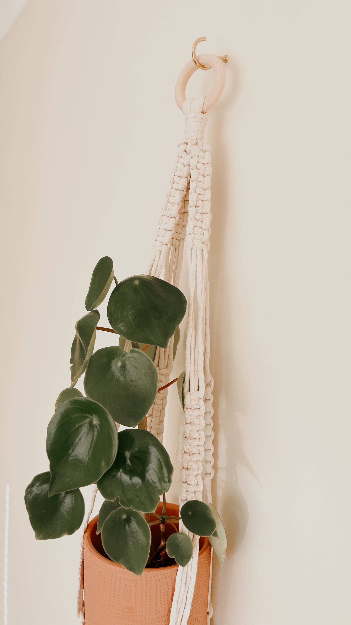 Plant Hanging - Minimalist